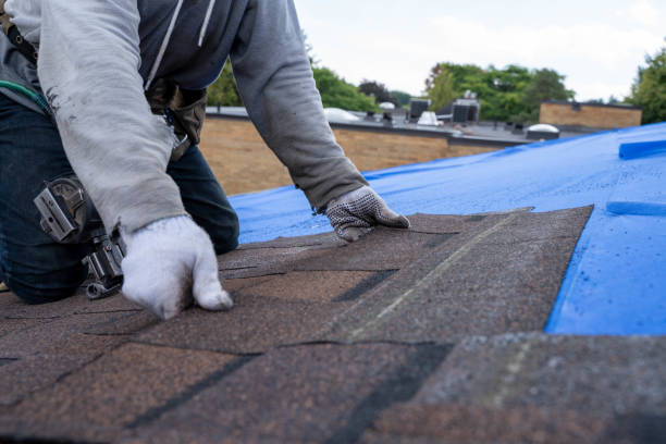 Best Metal Roofing Installation  in Eldorado, IL